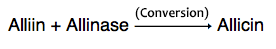 allicin conversion