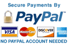 secure payment with paypal
